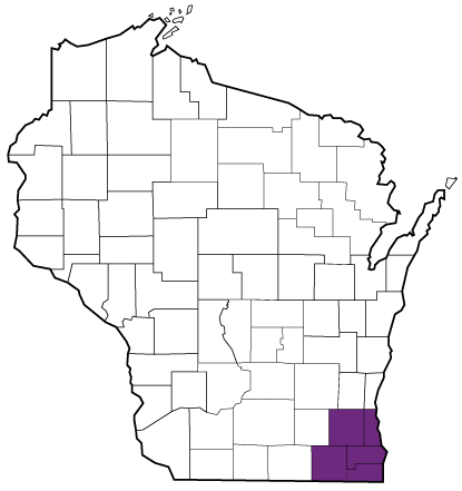 A county map of Wisconsin with Milwaukee AHEC Counties in purple: Kenosha, Milwaukee, Racine, Walworth, and Waukesha Counties