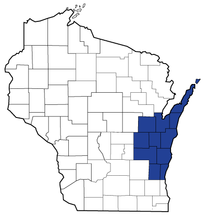 A counties map of Wisconsin with the Northeastern AHEC region in blue: Brown, Calumet, Door, Fond du Lac, Kewaunee, Manitowoc, Ozaukee, Outagamie, Sheboygan, Washington and Winnebago Counties