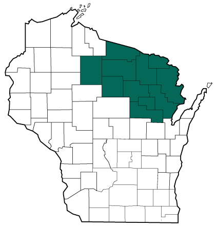 A counties map of Wisconsin with the Northern Highland AHEC region in green: Florence, Forest, Langlade, Lincoln, Marinette, Menominee, Oconto, Oneida, Price, Shawano, and Vilas Counties