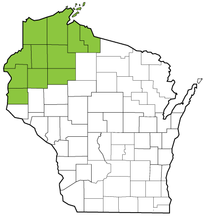 A counties map of Wisconsin with the Northwest AHEC region in light green: Ashland, Barron, Bayfield, Burnett, Douglas, Iron, Polk, Rusk, Sawyer, St. Croix and Washburn Counties